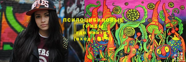 МДПВ Пролетарск